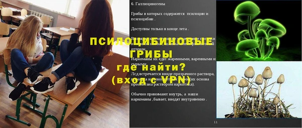 крисы Алексин