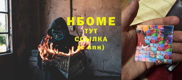 крисы Алексин